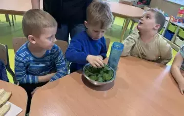 1 (13)