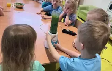 1 (10)