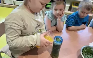 1 (7)
