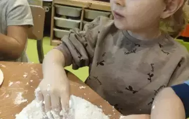 1 (20)